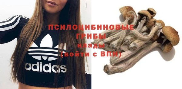 мескалин Аркадак