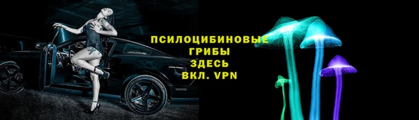 гашик Богородицк