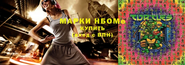 гидра Бронницы