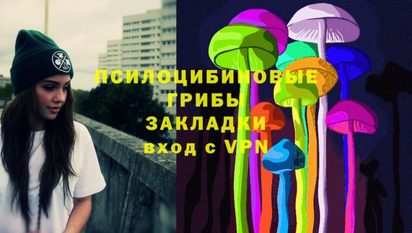 гашик Богородицк